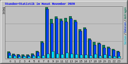 Stunden-Statistik im Monat November 2020