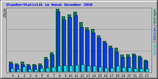 Stunden-Statistik im Monat Dezember 2020