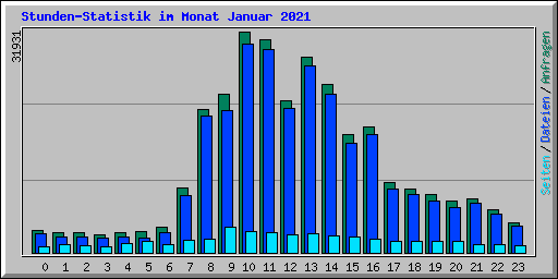 Stunden-Statistik im Monat Januar 2021