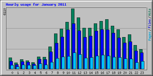 Hourly usage for January 2011