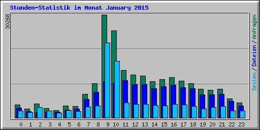 Stunden-Statistik im Monat January 2015