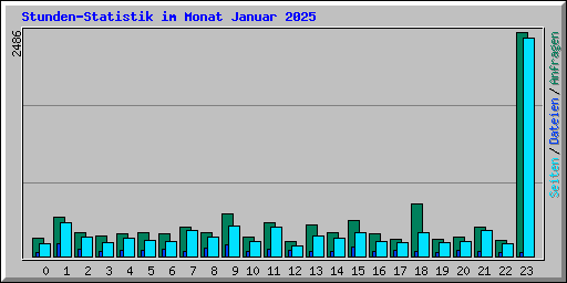 Stunden-Statistik im Monat Januar 2025