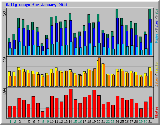 Daily usage for January 2011