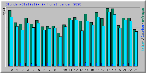 Stunden-Statistik im Monat Januar 2026