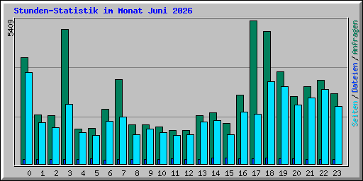 Stunden-Statistik im Monat Juni 2026